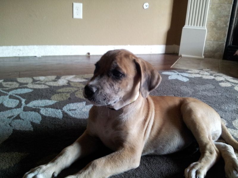 2012-09-03173749.jpg