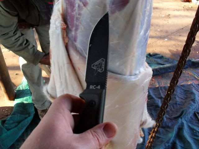 RC4Skin2.jpg