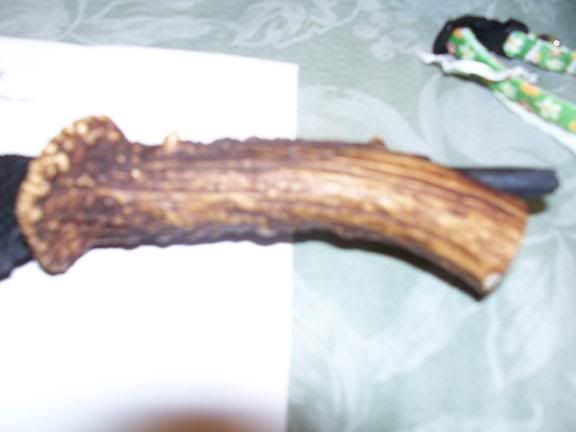 100_0634.jpg