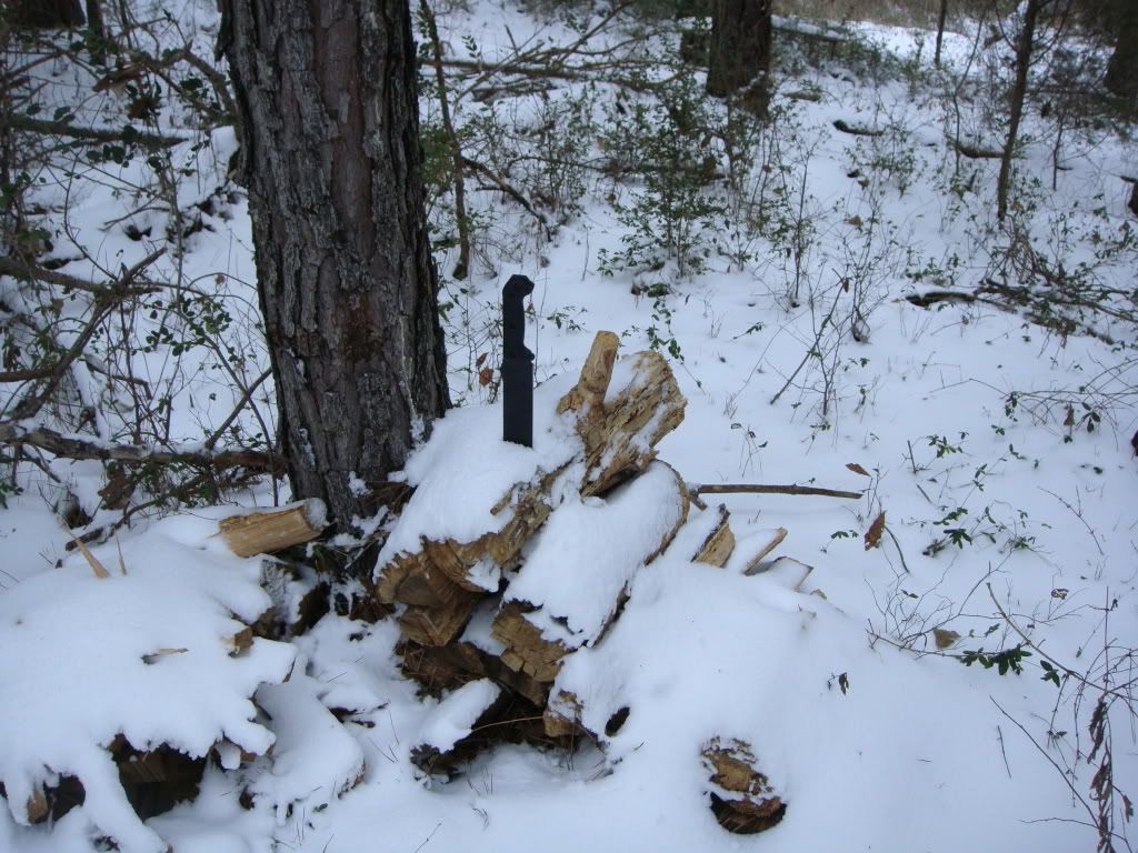 DSC00697.jpg