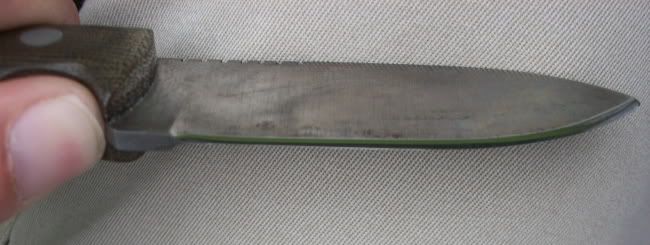100_1183.jpg