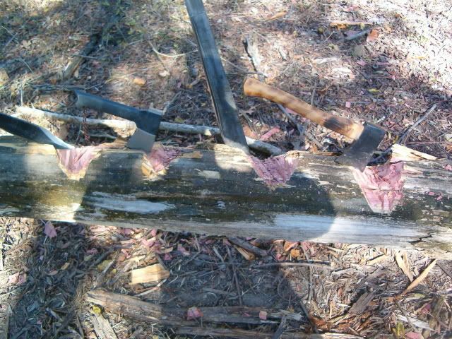 059.jpg