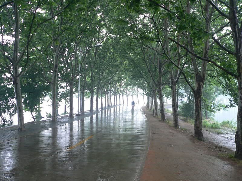 P1400538.jpg