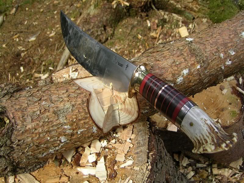 ScagelForesttest15powerstrokes.jpg
