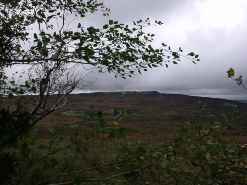 FallPetun014.jpg