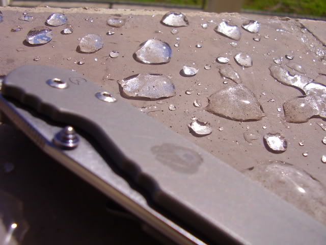 P3110003.jpg