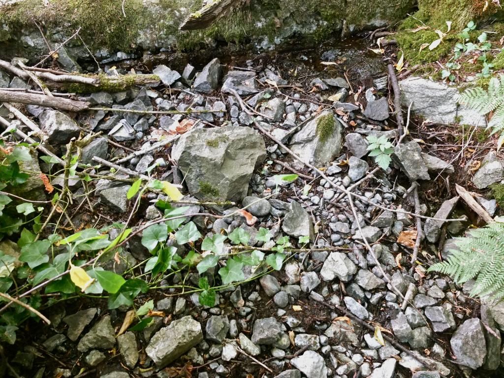 DSCF2278_zps2d6355ff.jpg