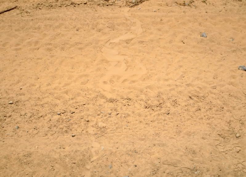 DSC_1937.jpg