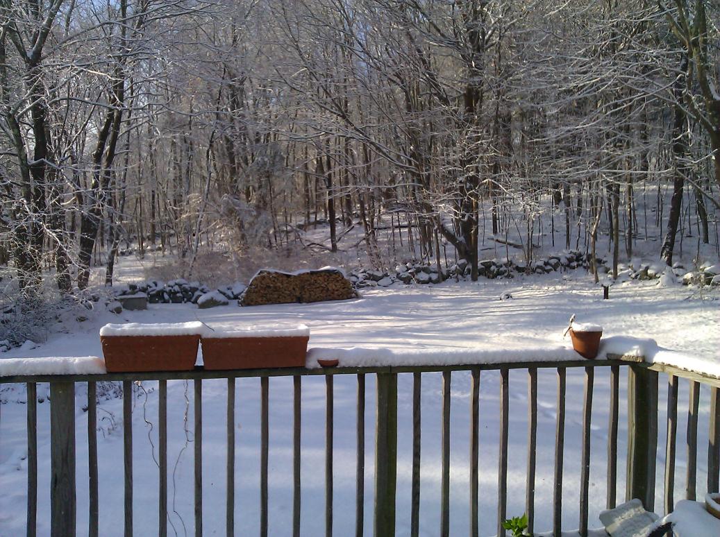 IMG_20110108_085842-small.jpg