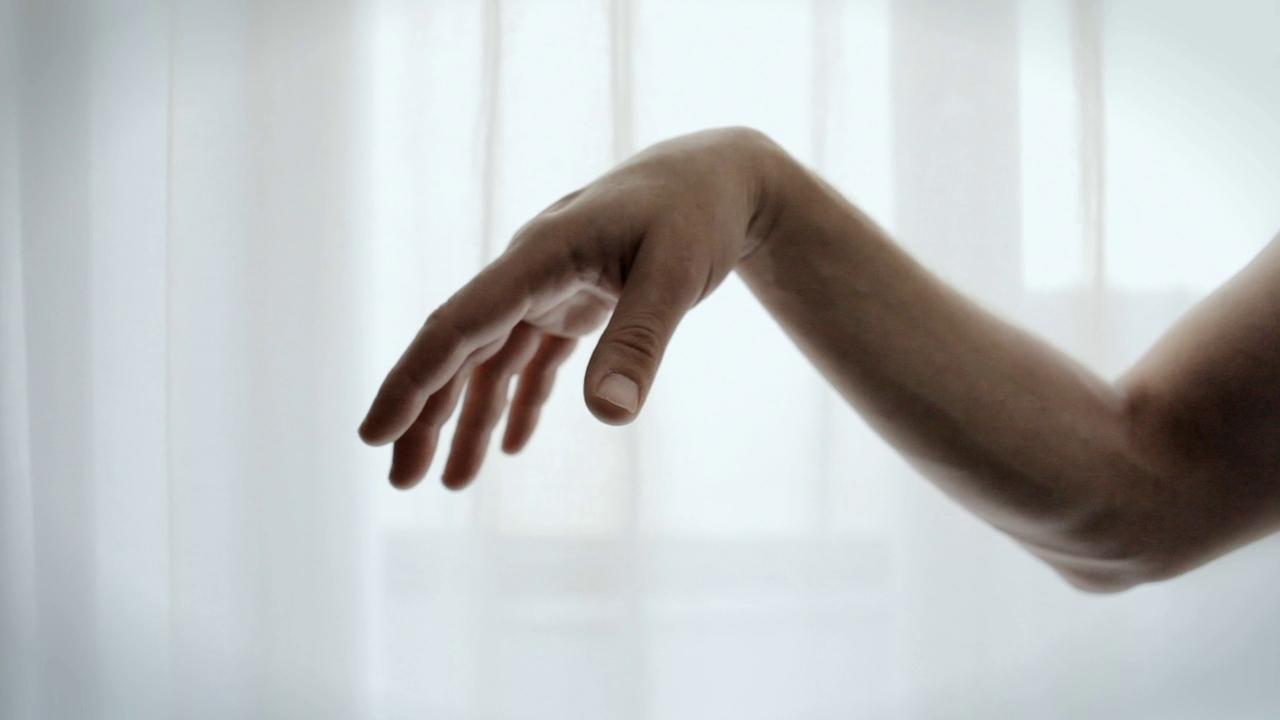 302388829_1280.jpg