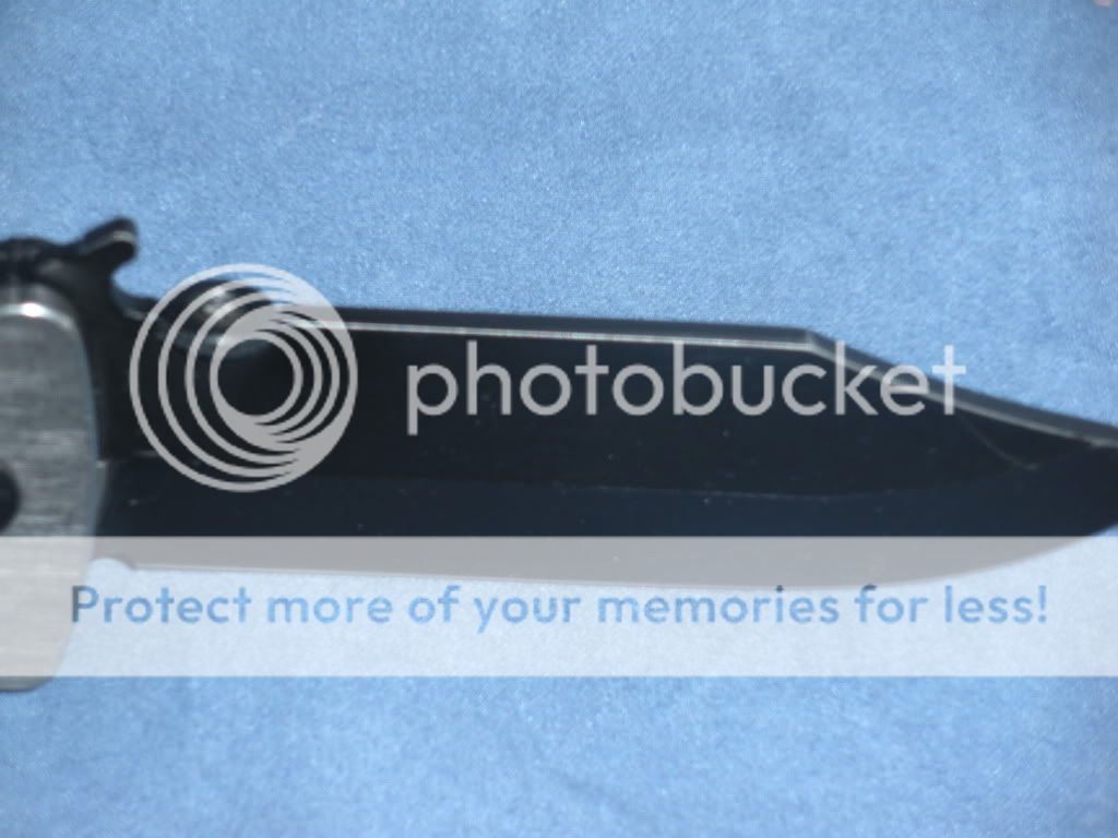 DSCN0195.jpg
