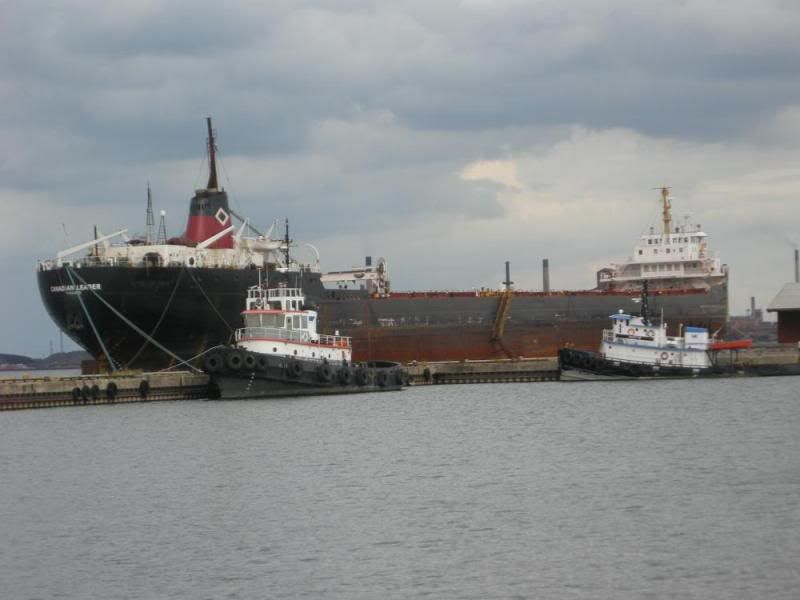 DSCN1611.jpg