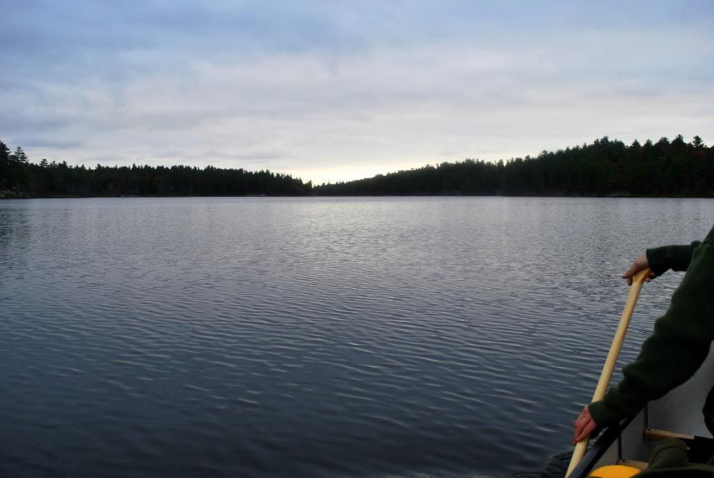 DSC_0032-8.jpg