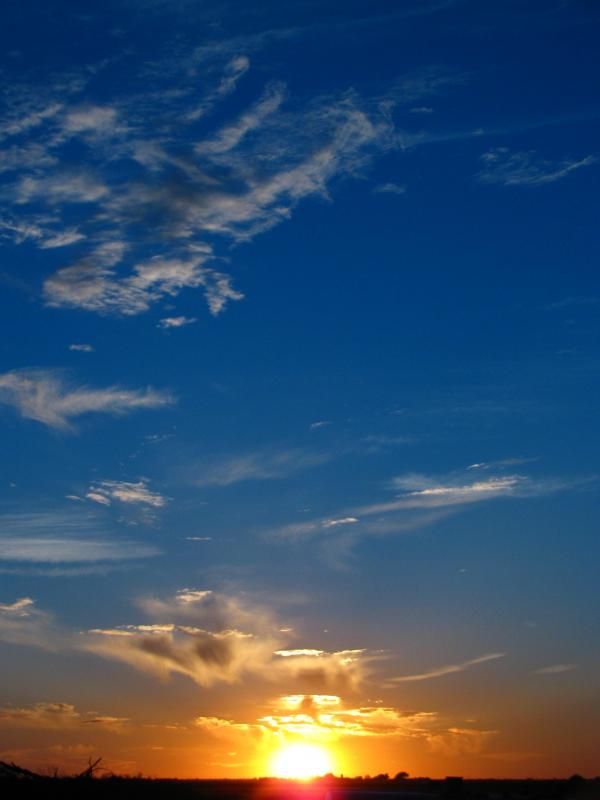 IMG_3585_zps05defd01.jpg