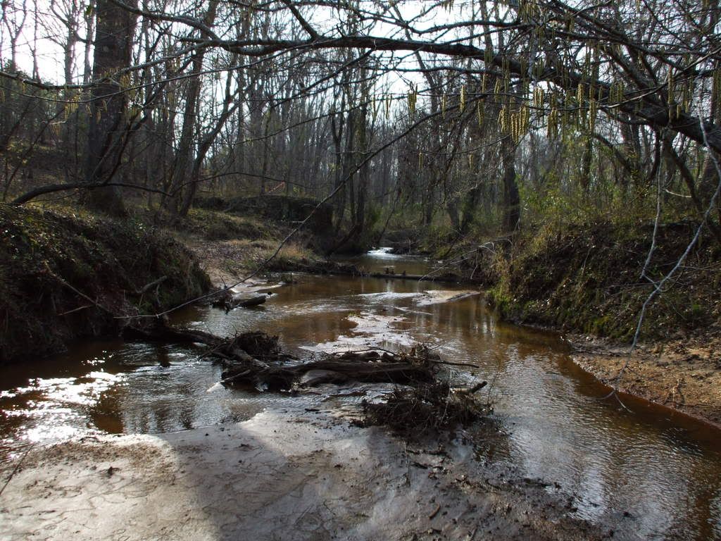 DSCF0059.jpg