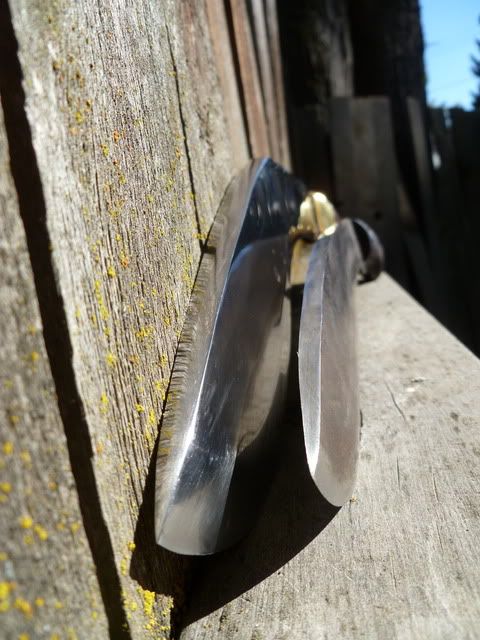P1010021.jpg