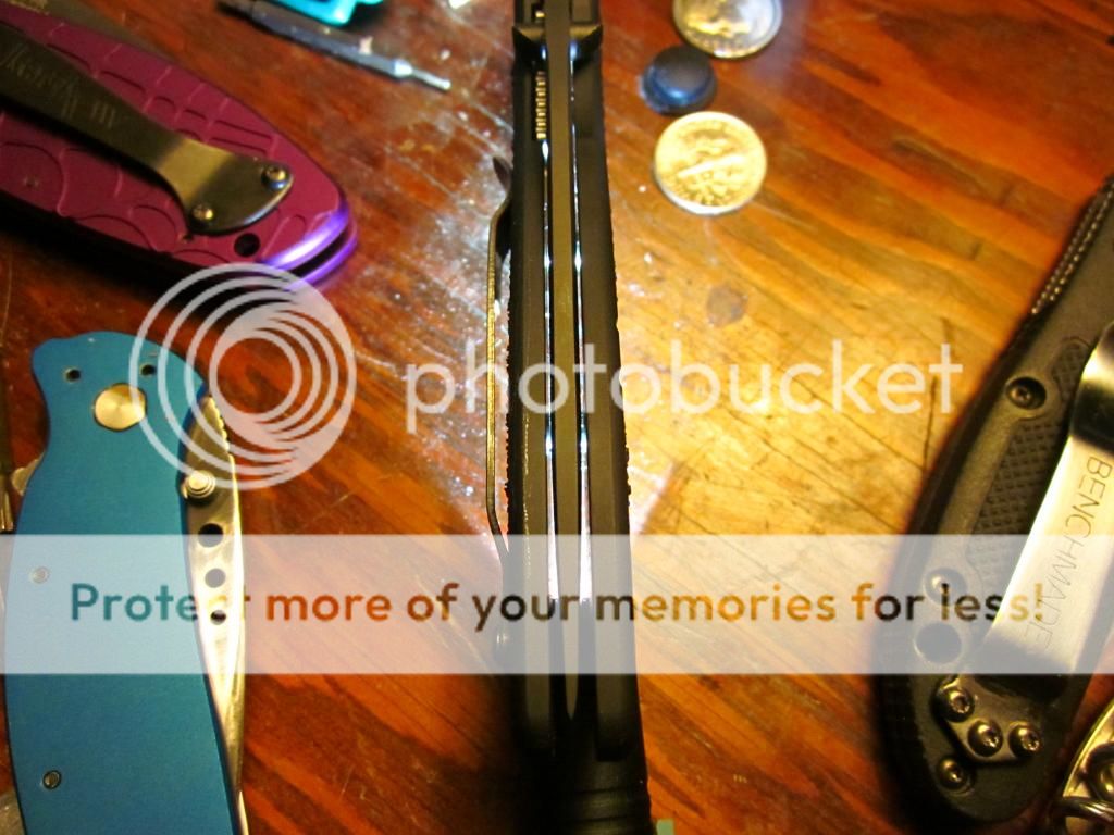 IMG_1682_zps803a5c67.jpg
