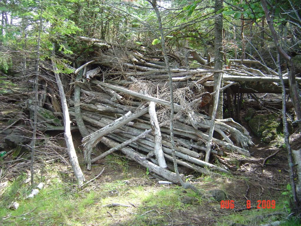 DSC01417.jpg