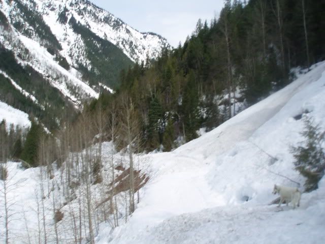 Easter2012027.jpg