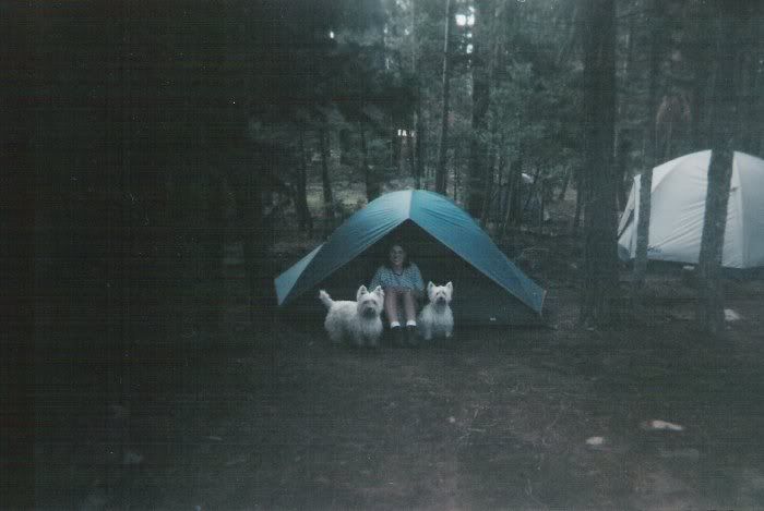 camp2.jpg