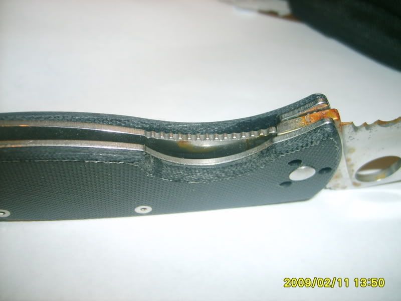 S5000158.jpg
