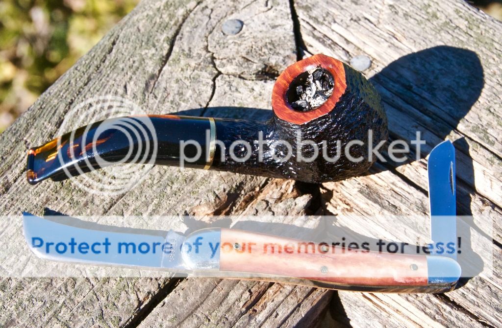 _DSC0086_zpsqehh9acn.jpg