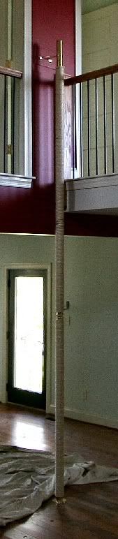 Cat_pole.jpg