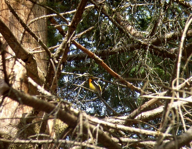2010.05.04.R0020918.JPG