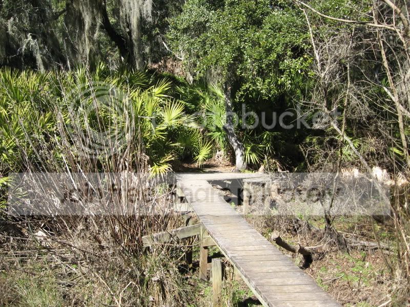Jekyll014.jpg