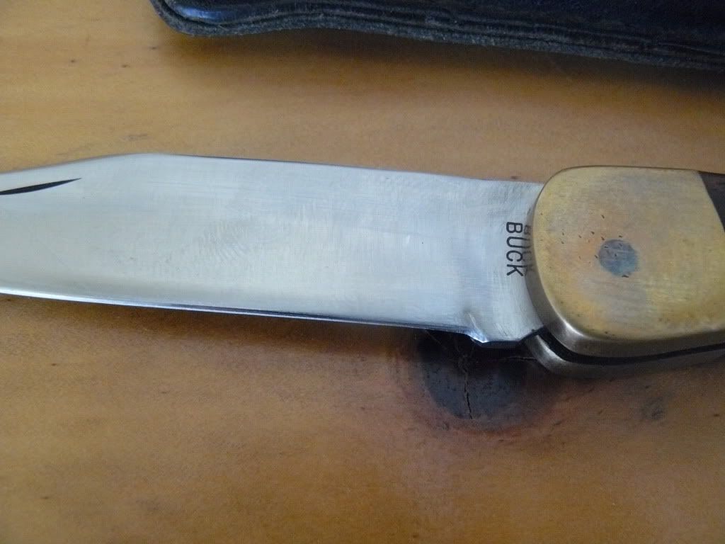 P1050028.jpg