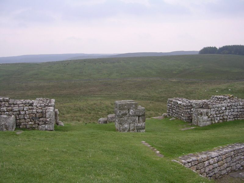 DSCN4451.jpg
