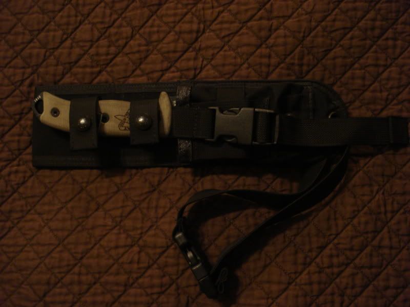 20090313_293.jpg