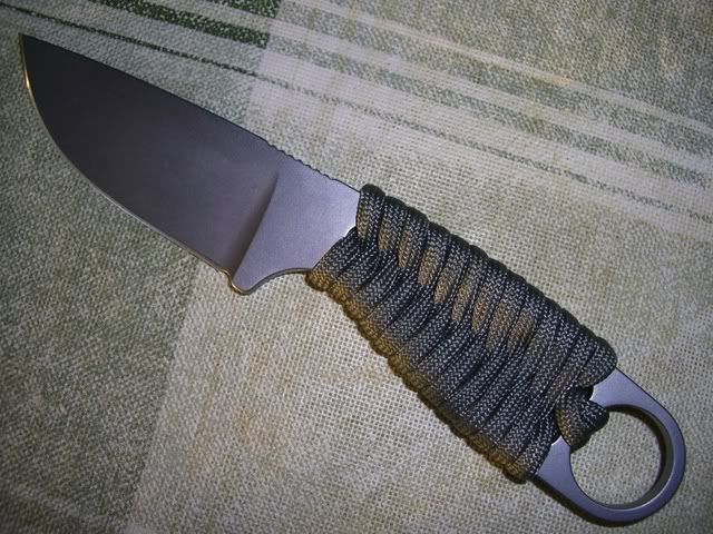 CatsandIzula010.jpg