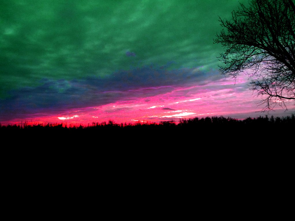 6798415147_94a245ab03_b.jpg
