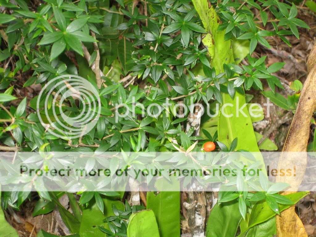 IMG_1172.jpg