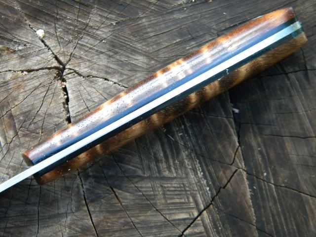 DSCN1675.jpg
