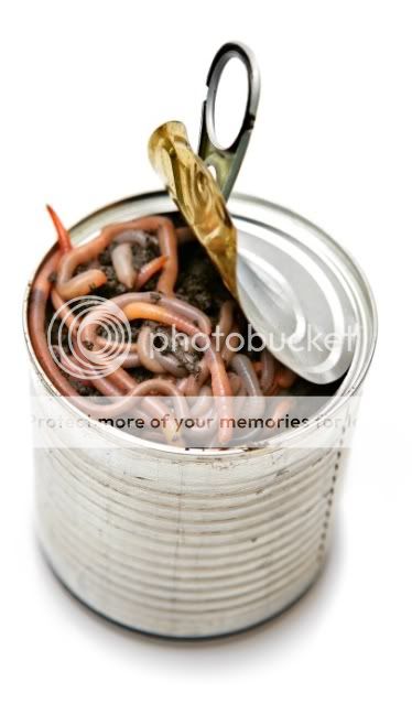 canofworms1.jpg