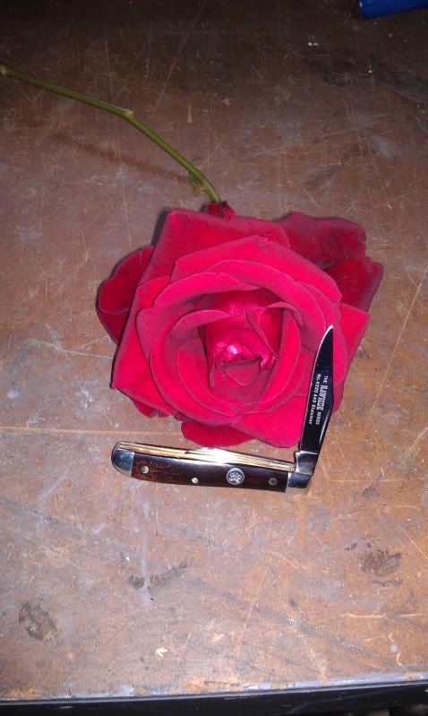 IMAG0202_zps9c60b916.jpg