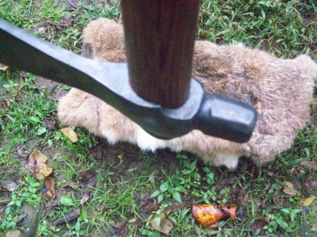100_4564.jpg