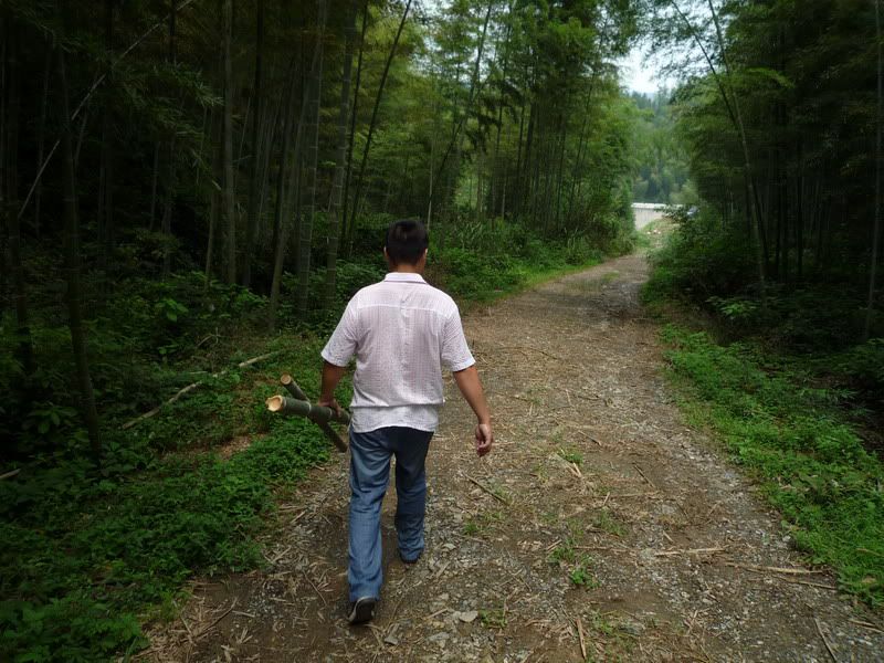 P1000947.jpg