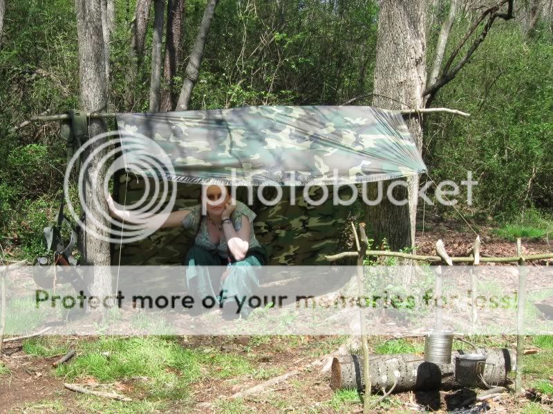 InShelter.jpg