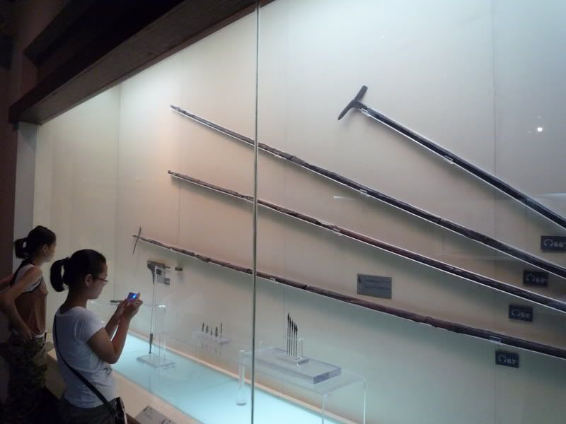 P1000429.jpg
