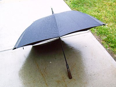 umbrella01.jpg