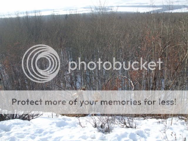 DSCF2093.jpg