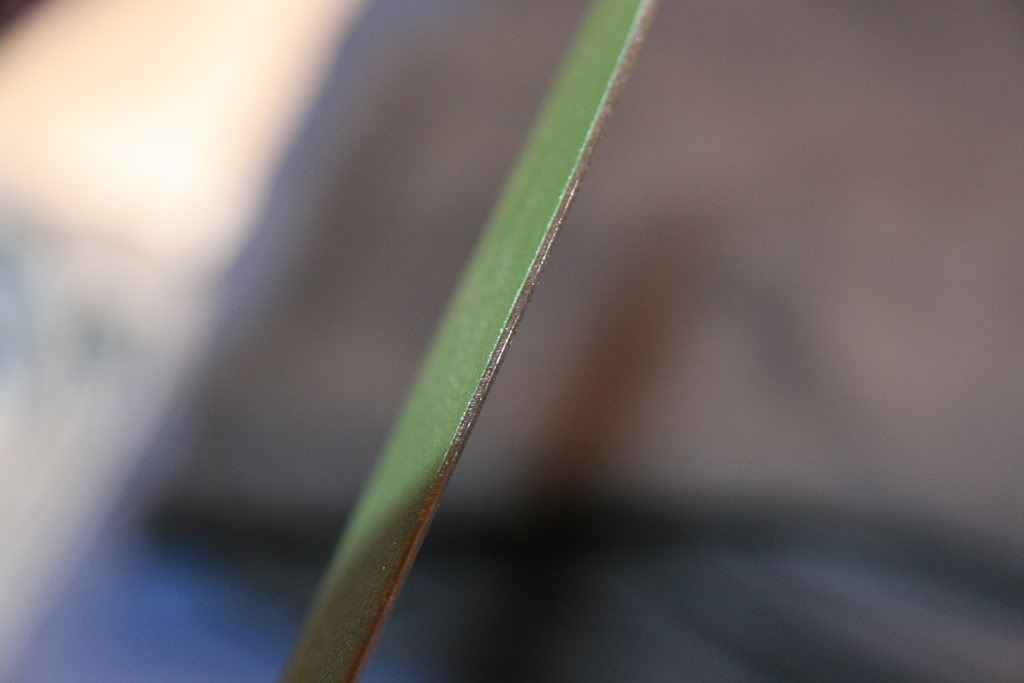 IMG_3979.jpg