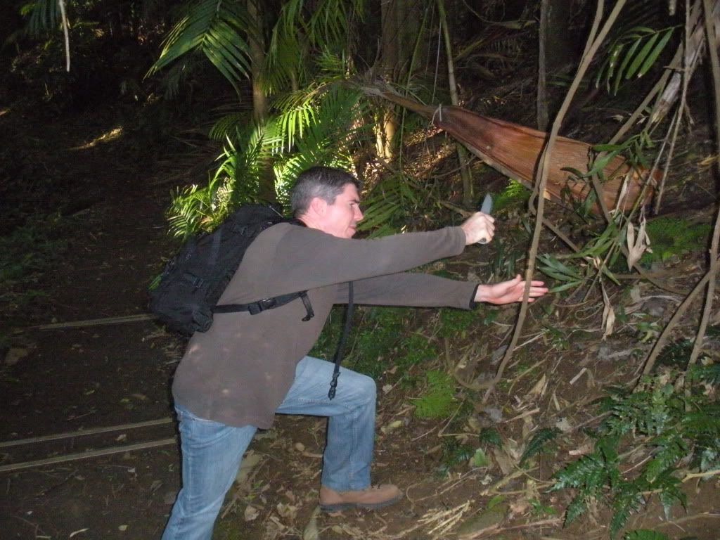 DSCN2533.jpg