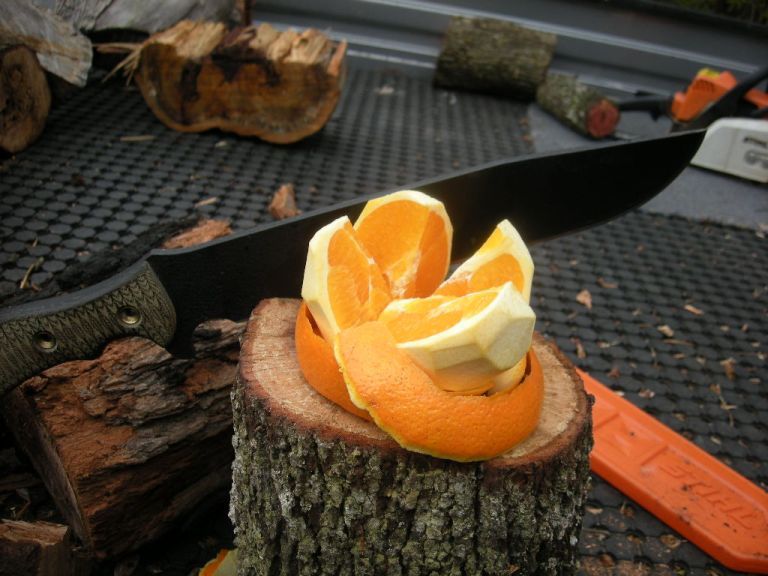 DSCN1030.jpg