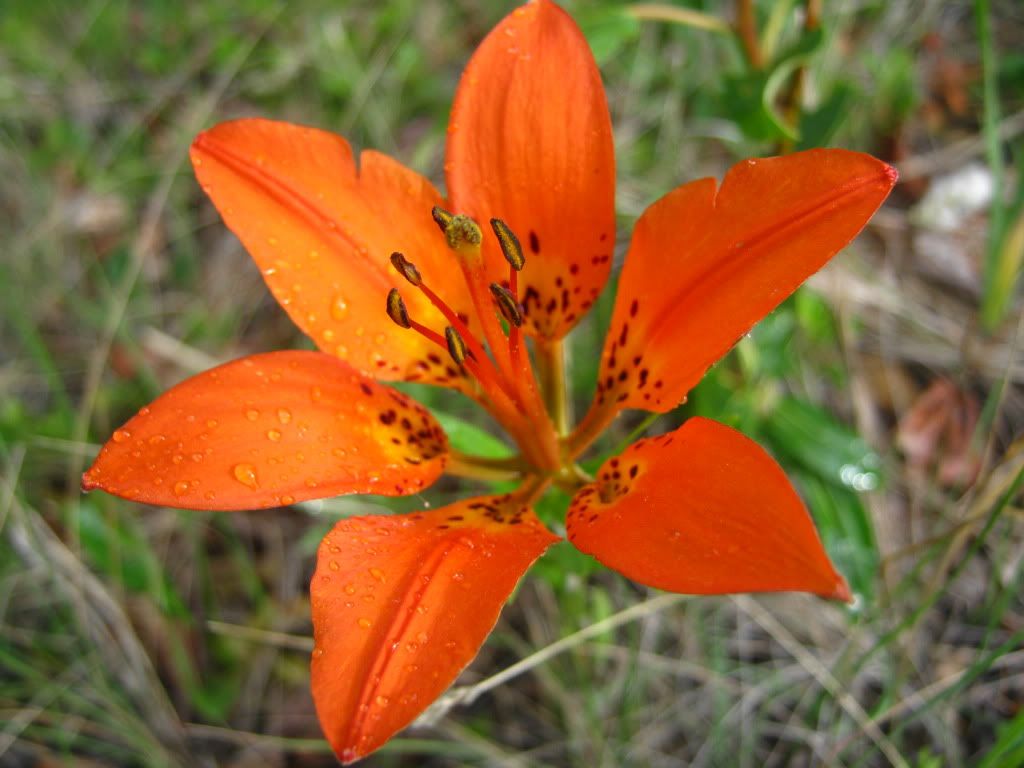 July032010007.jpg
