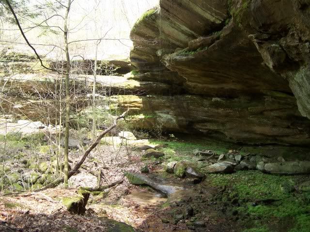 100_3145.jpg