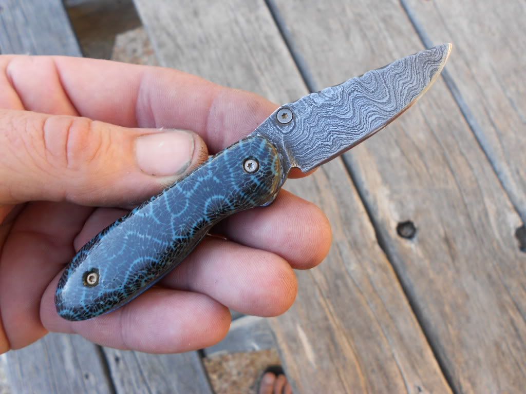 FossilcoralDam009.jpg